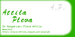 attila pleva business card